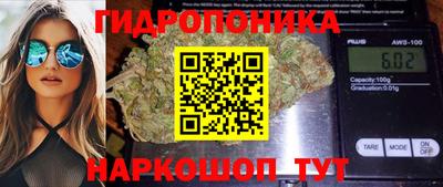 амф Коммунар