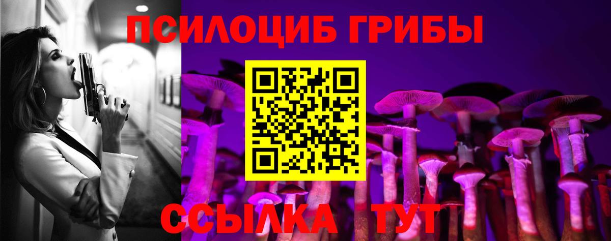 Псилоцибиновые грибы мухоморы Каменск-Шахтинский